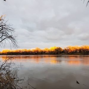 Meet your Posher, Jo-ann